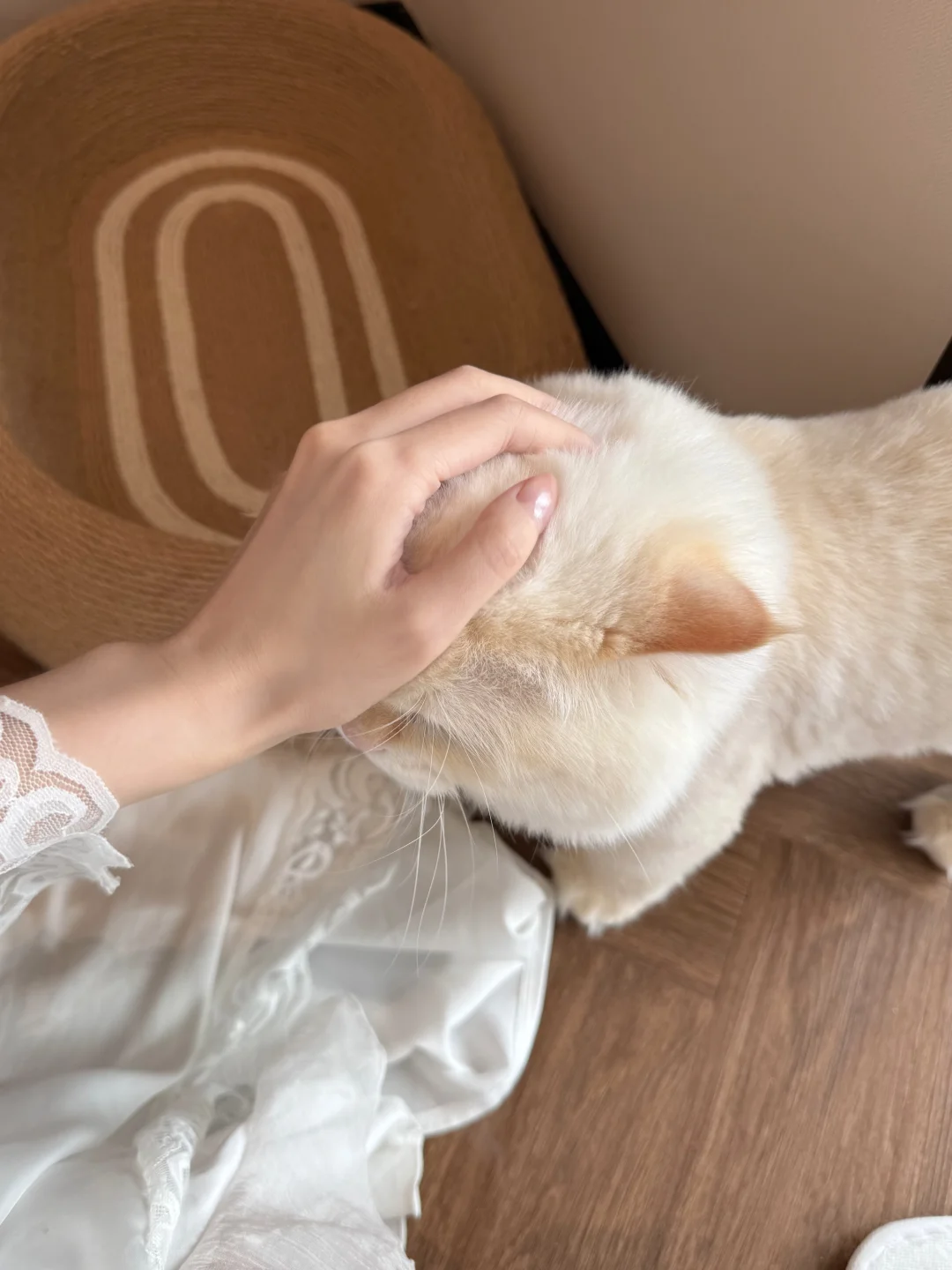 🤍🩱🏊🏻‍♀️