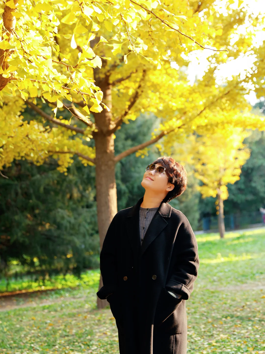 北京女摄🉑跟拍｜和闺蜜一起拍秋天的银杏叶