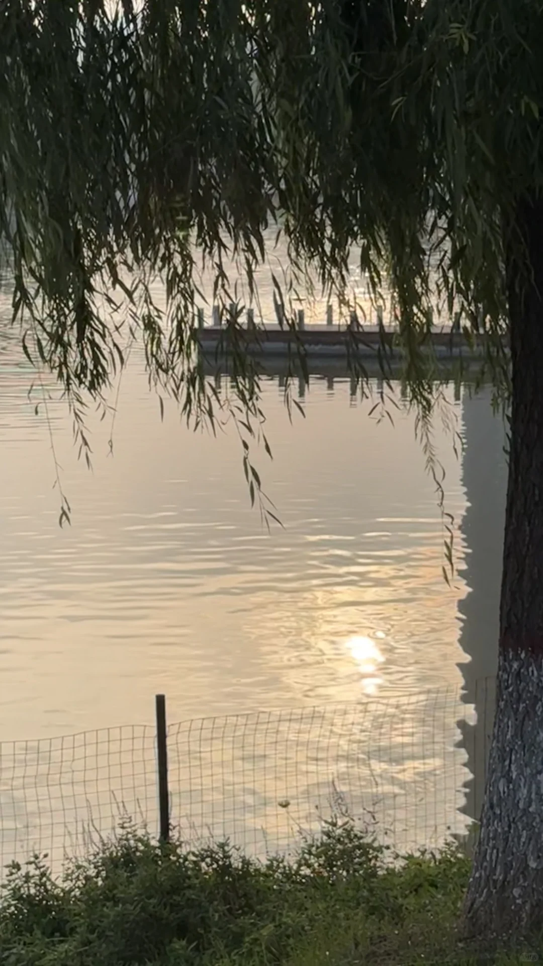 最近 阳光充足的日子 和我