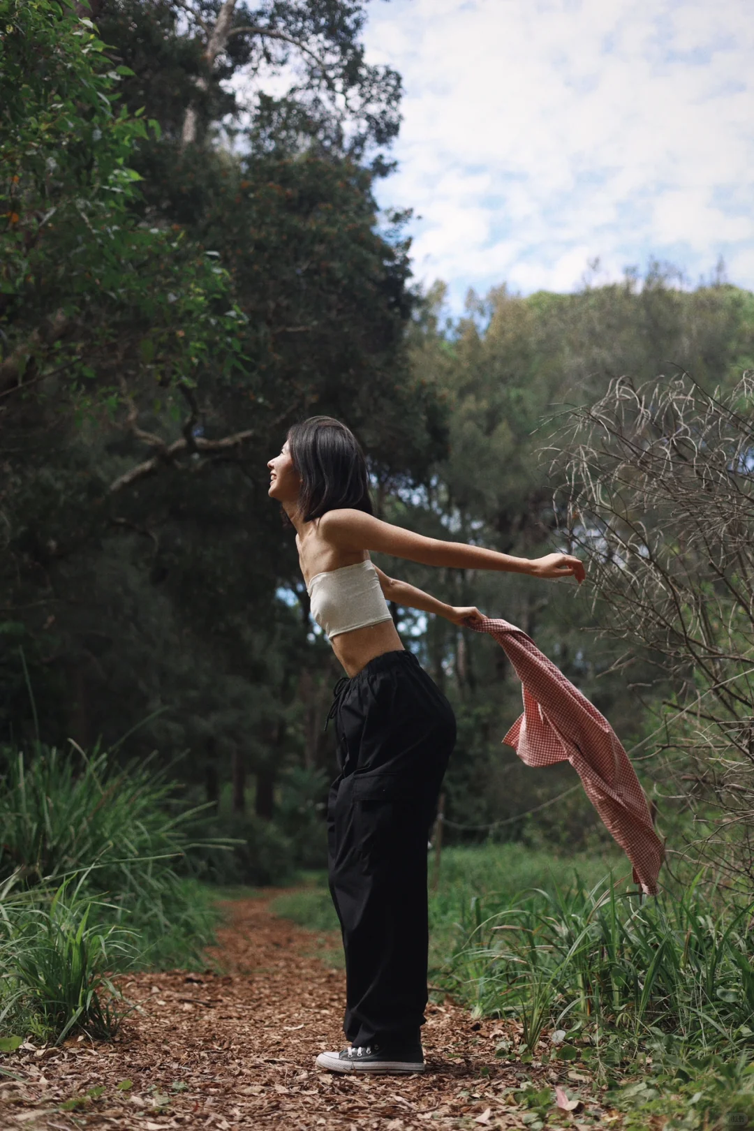 喷薄而出的生命力