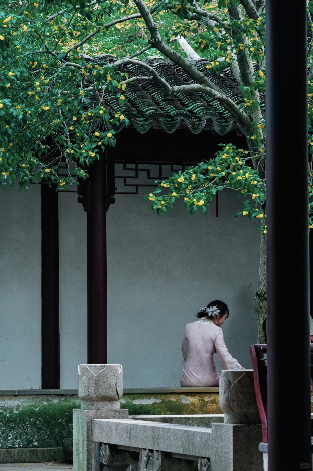 照人间｜苏州虎丘好多模特哇