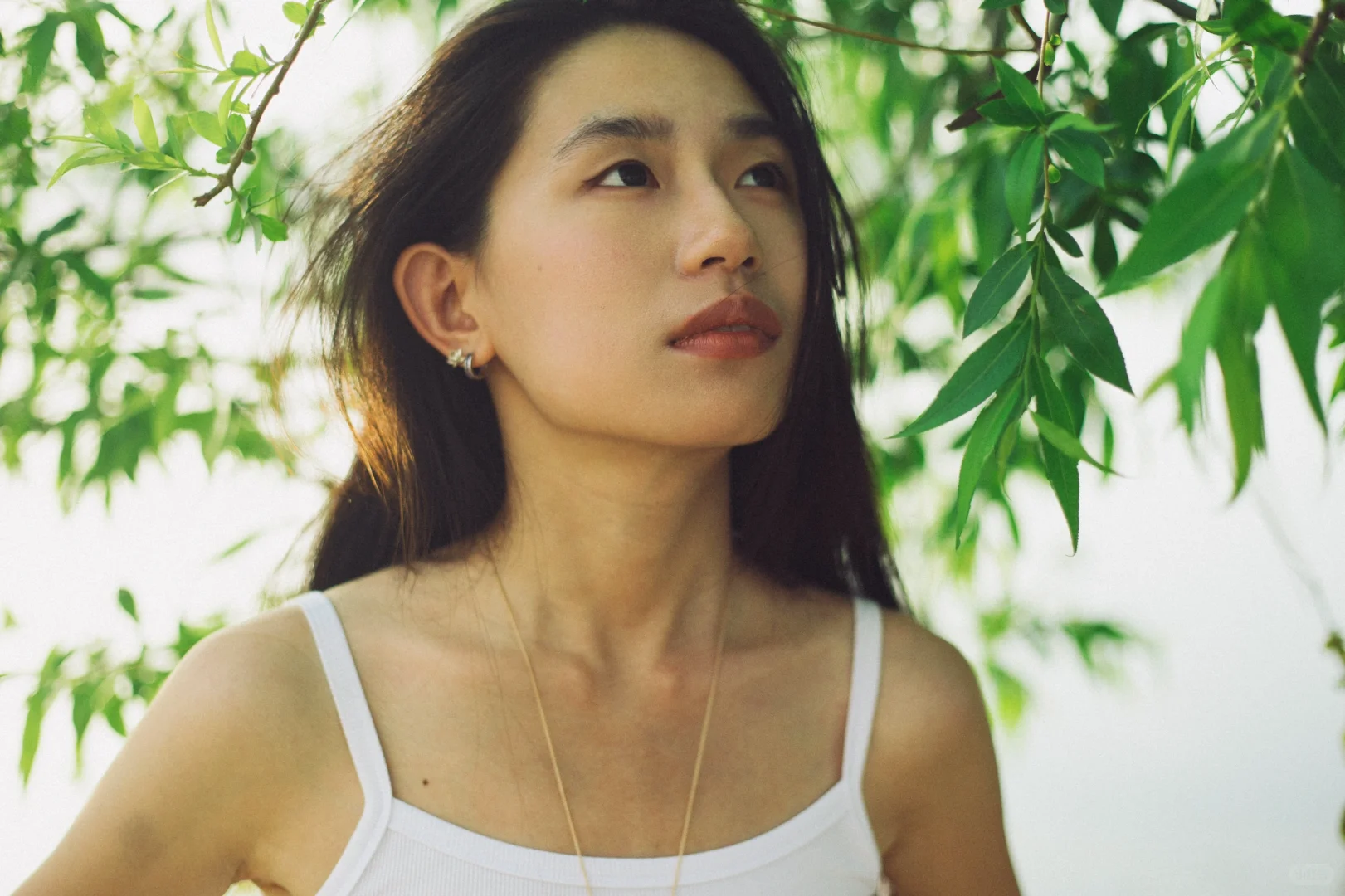 对森系的偏好始终影印在我审美潜意识里