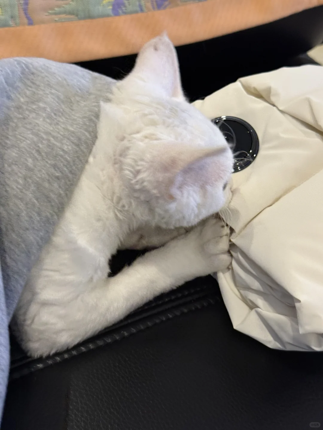 最近 阳光充足的日子 和我