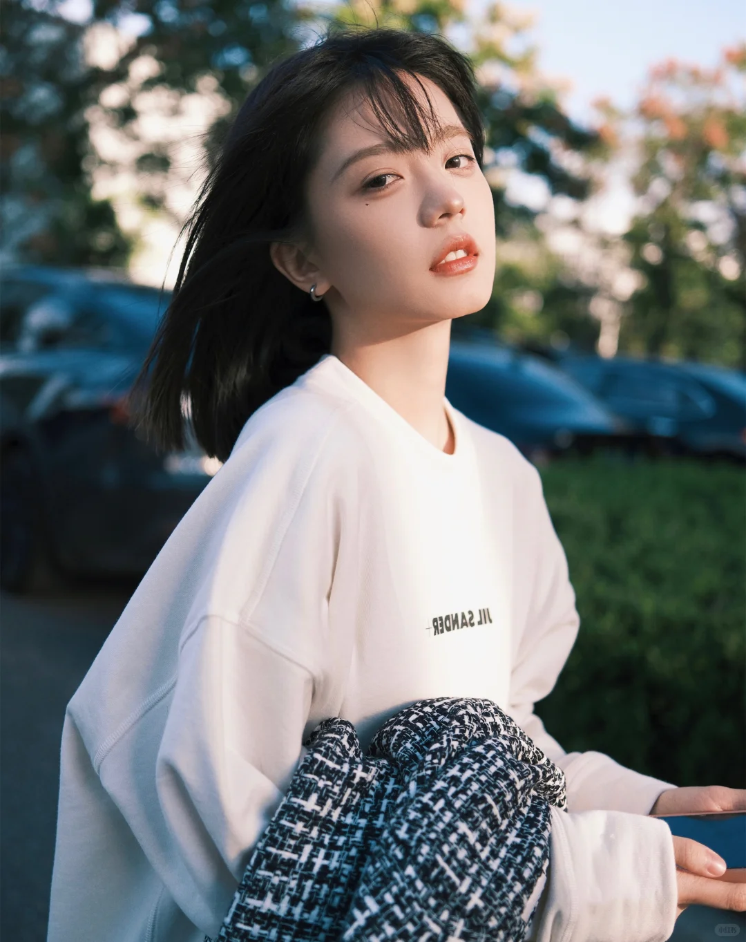 「温柔不语，自有清风相随🌸」