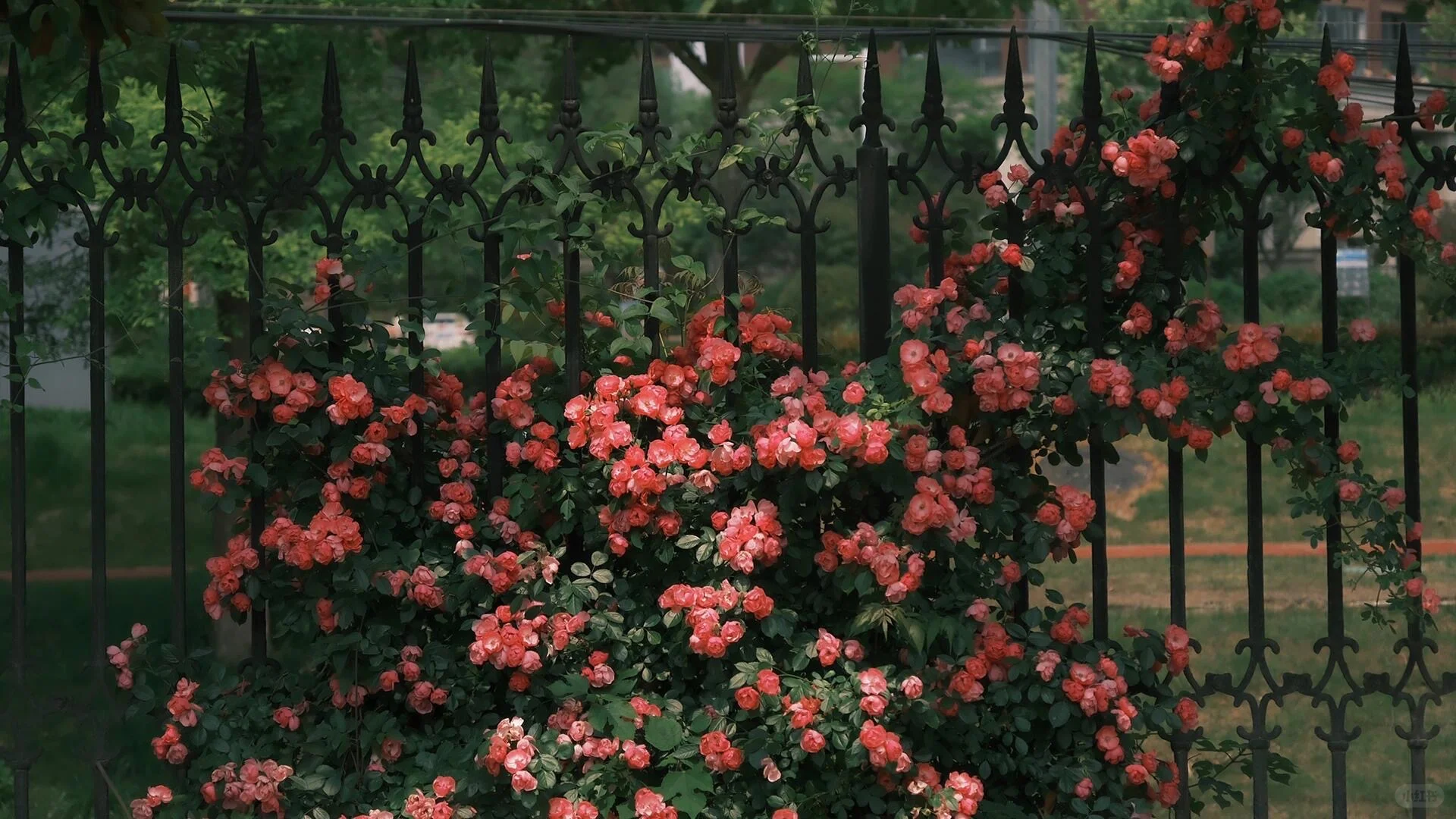 𝙬𝙖𝙡𝙡𝙥𝙖𝙥𝙚𝙧 ｜超清ipad电脑壁纸