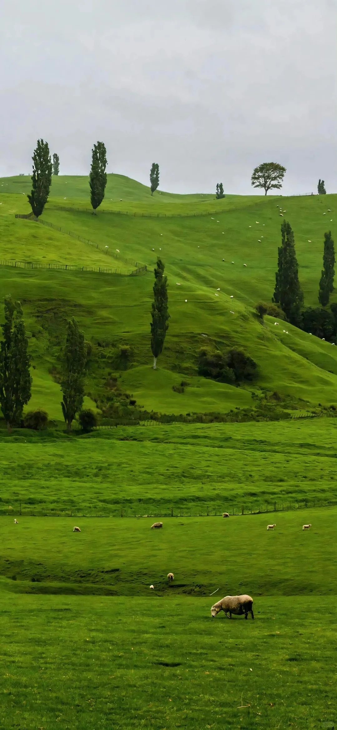 极致简约高清壁纸