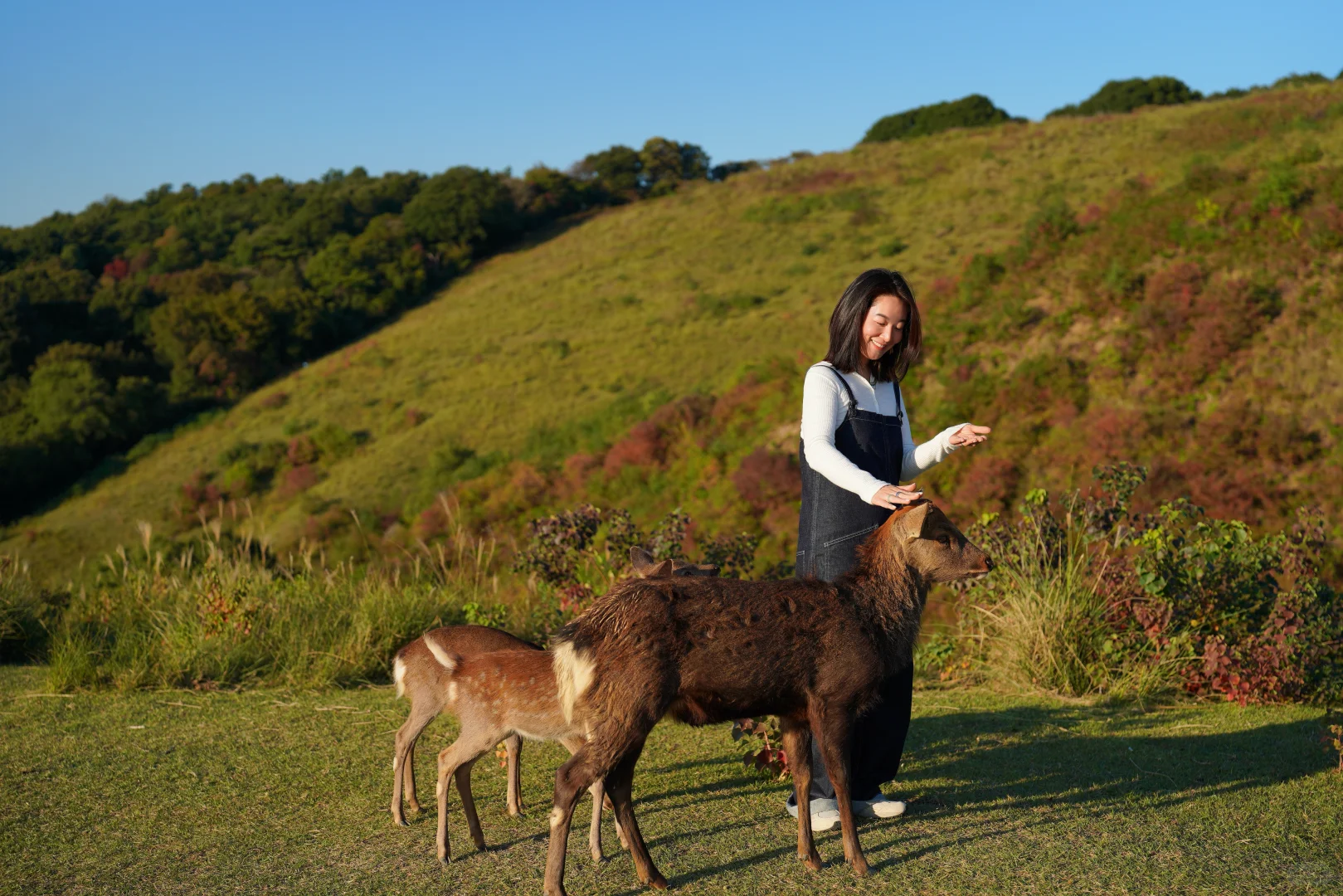 瘦不下来的“普女”，可能得了情绪饥饿症