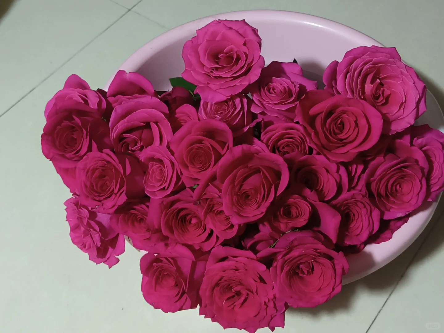 会受伤但难抵娇艳欲滴