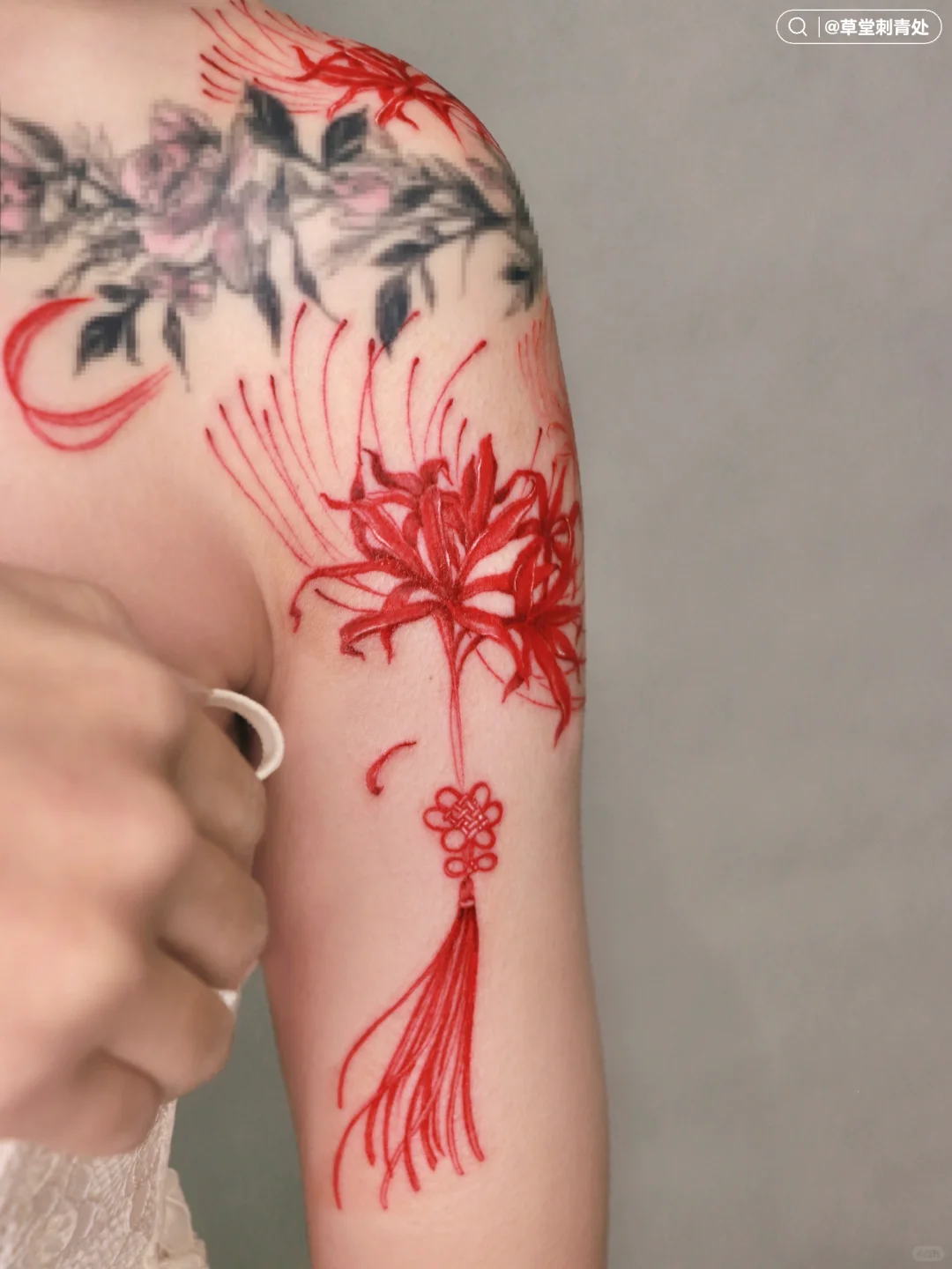 ▫️手臂纹身| 曼珠沙华| 花开彼岸 绝美娇艳