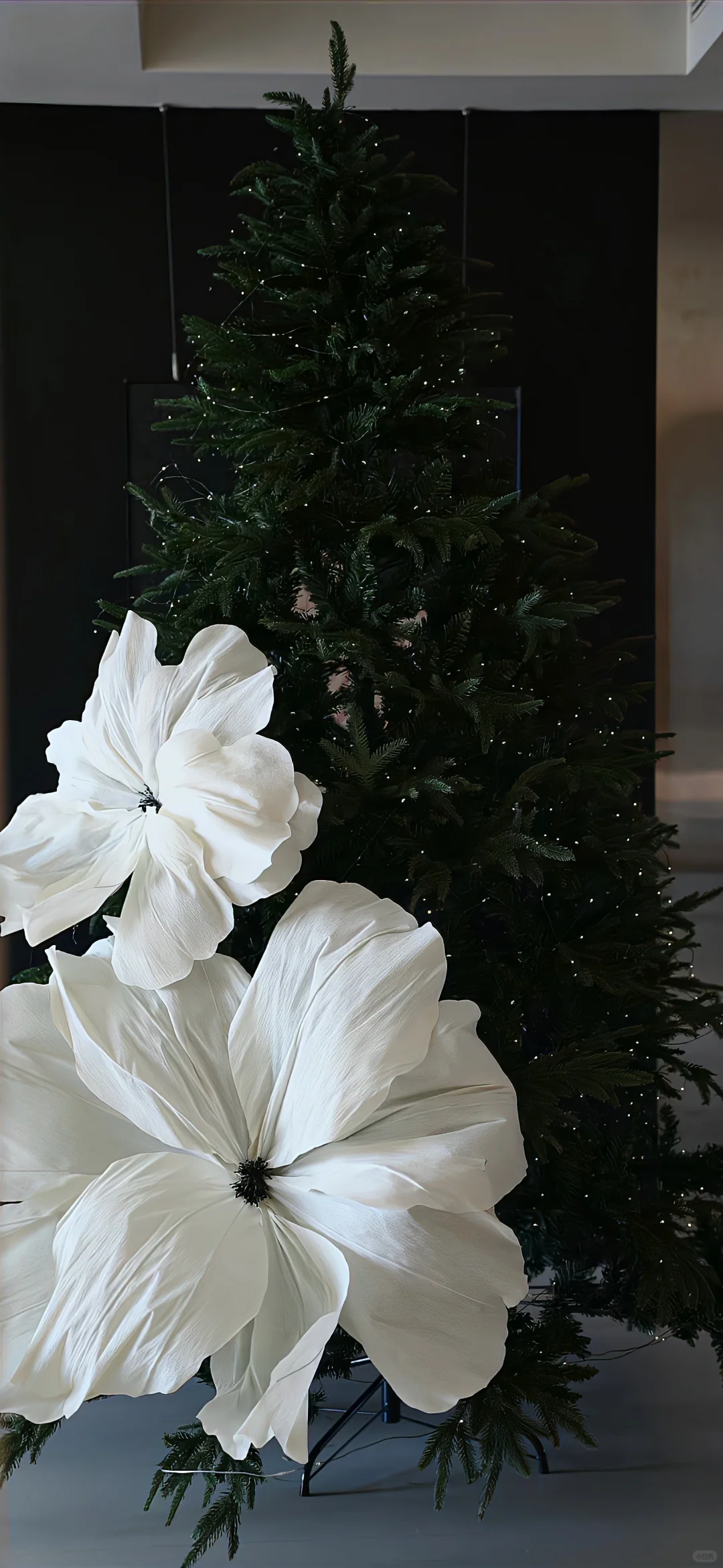 壁纸｜ins高清氛围壁纸🍋