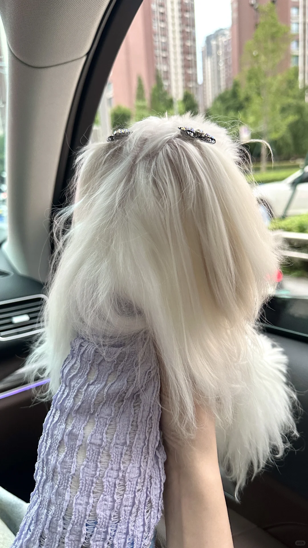 💜今天也是女装大佬