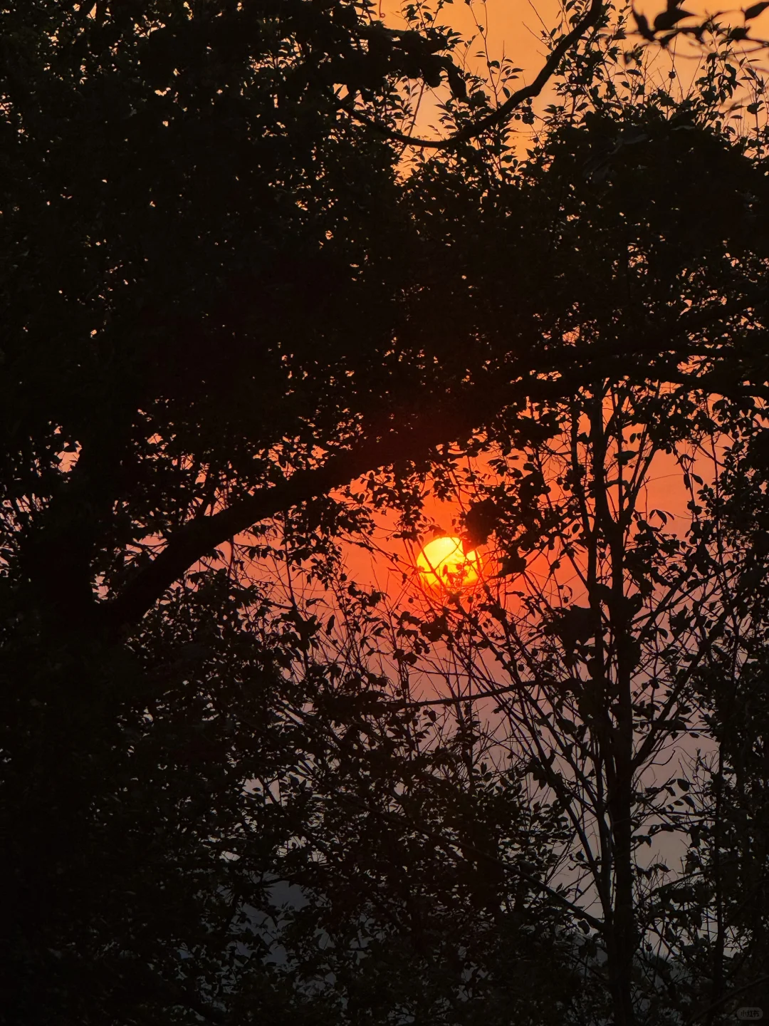 大地藏着日出 🗻