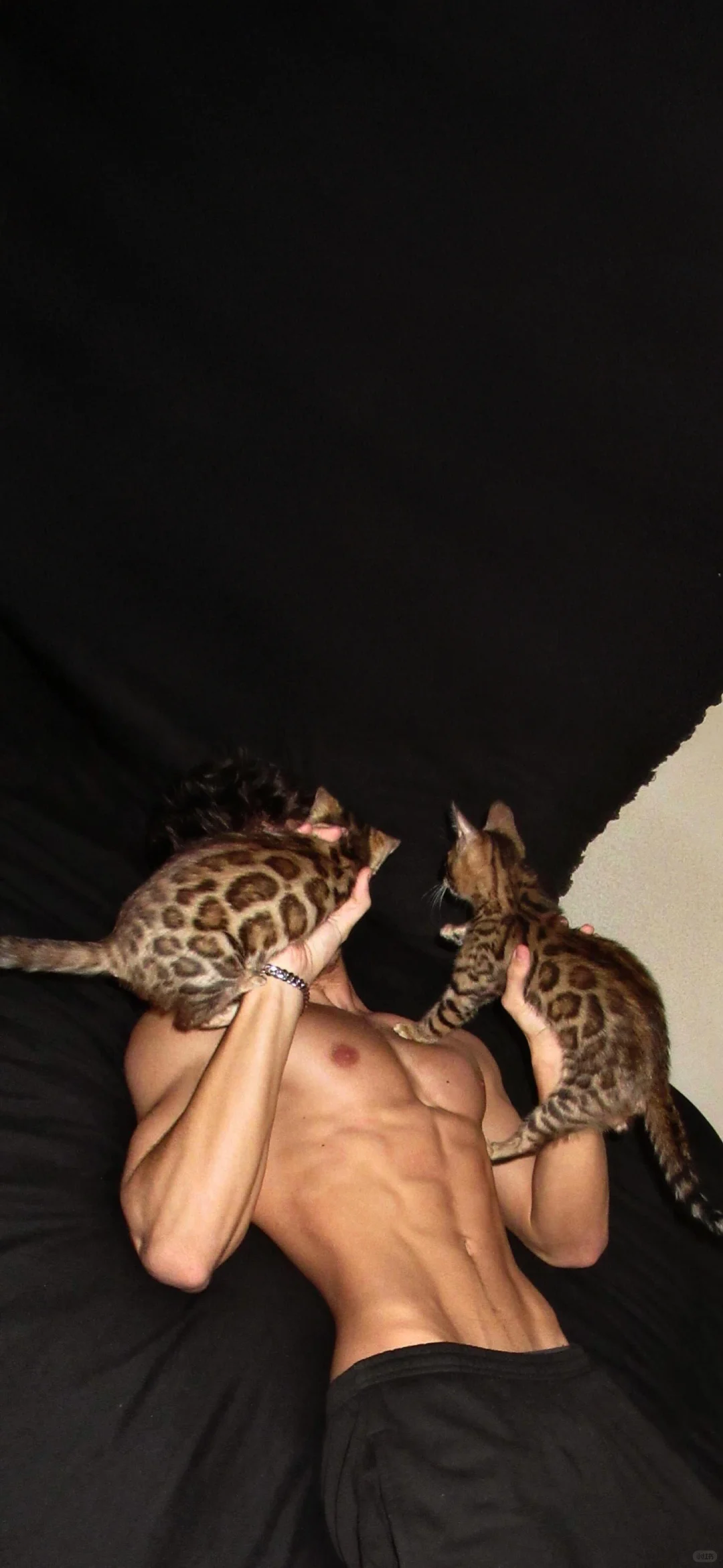 𝔰𝔥𝔞𝔯𝔢 | 小众壁纸｜一定要看完#