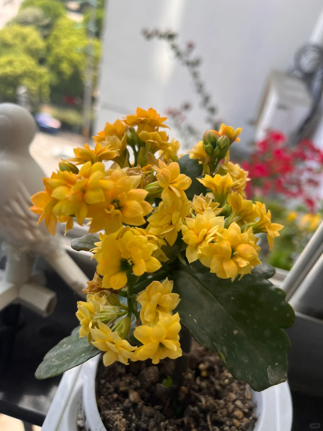 生机勃勃的春天