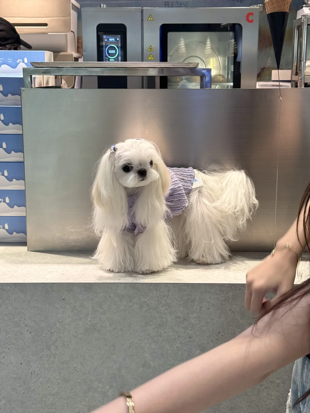 💜今天也是女装大佬