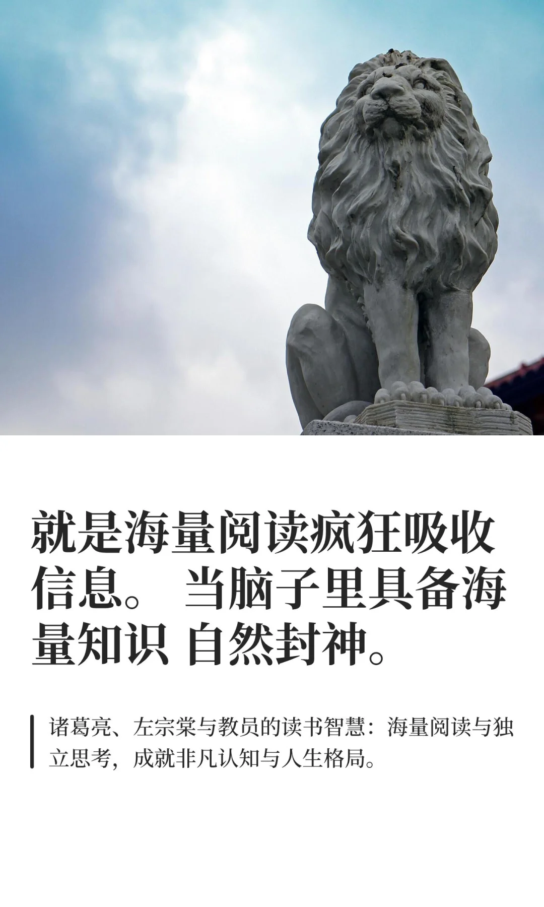 就是海量阅读疯狂吸收信息。 当脑子里具备