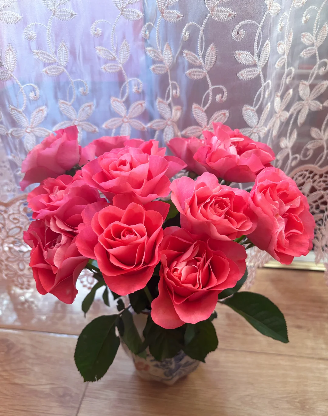 🌺玫瑰的故事1️⃣6️⃣5️⃣ 缤纷 娇艳