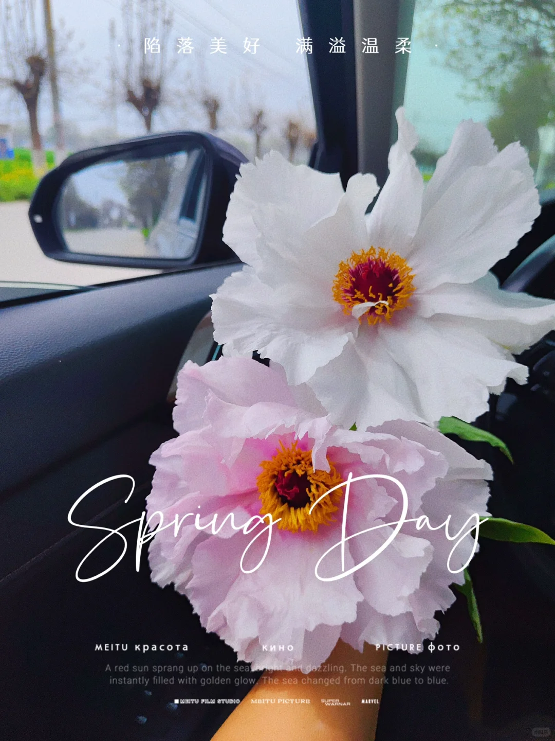 以牡丹之名，赴春天之约