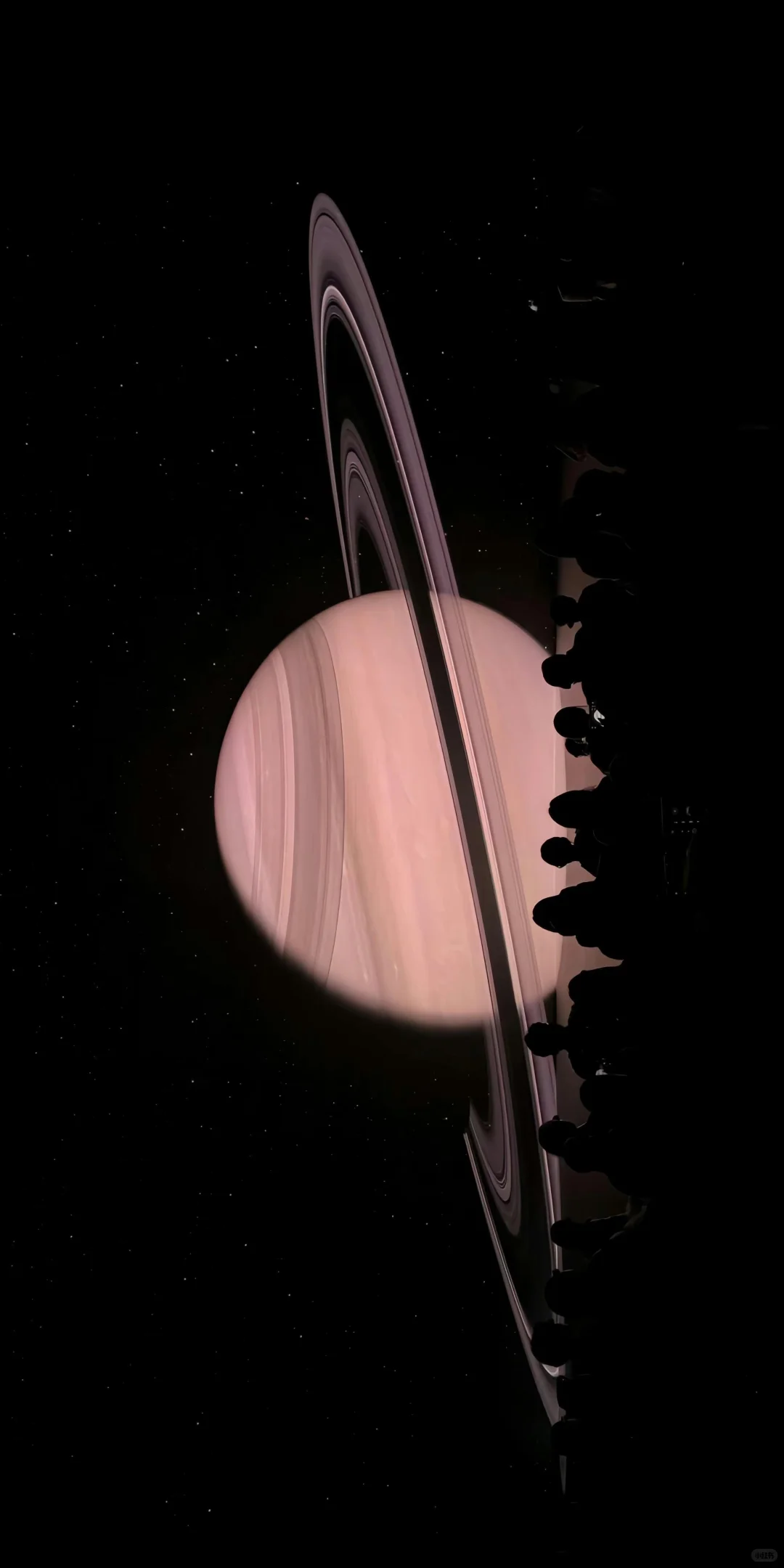 𝔰𝔥𝔞𝔯𝔢 | 小众壁纸｜一定要看完#