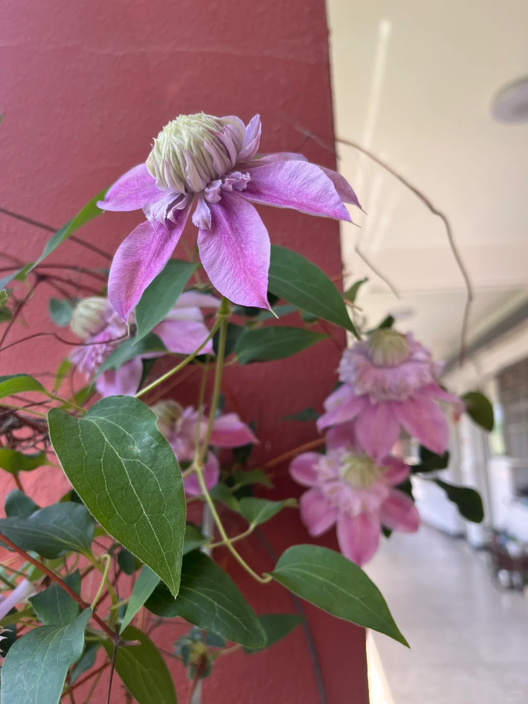 生机勃勃的春天