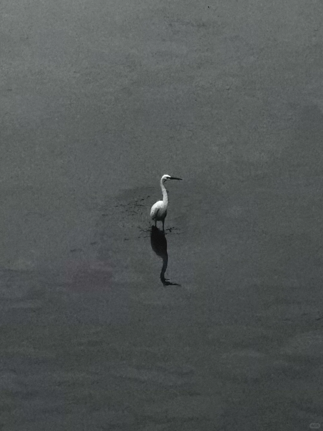 大地藏着日出 🗻