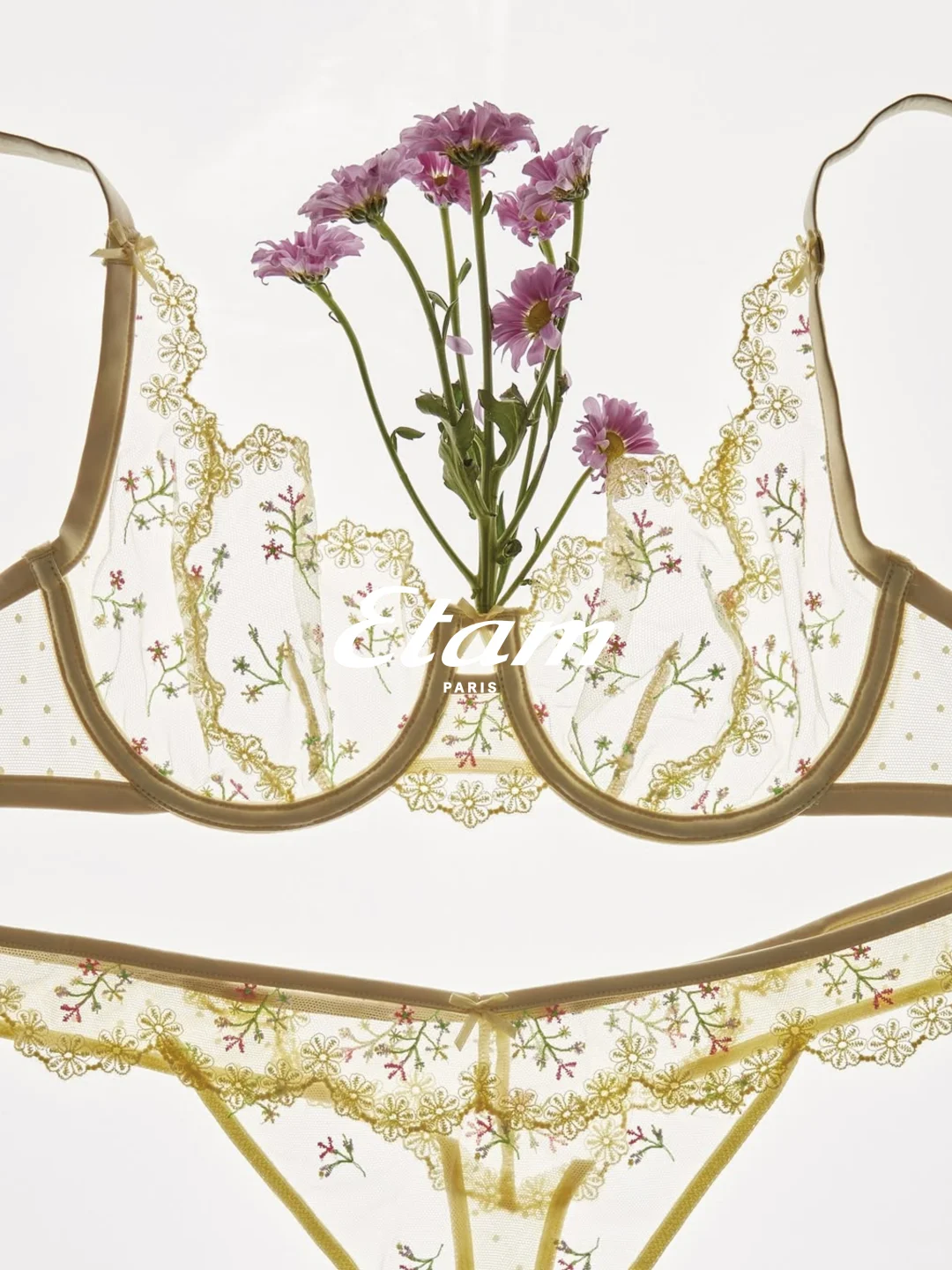 蕾丝胸衣 | 织就诗意绮梦