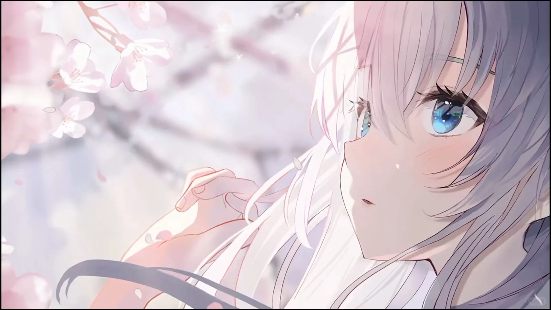 动态壁纸分享第47期