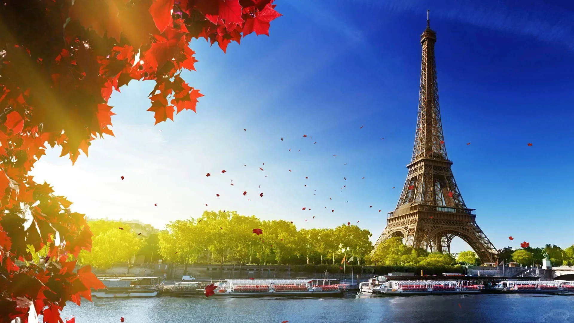 动态壁纸分享第141期