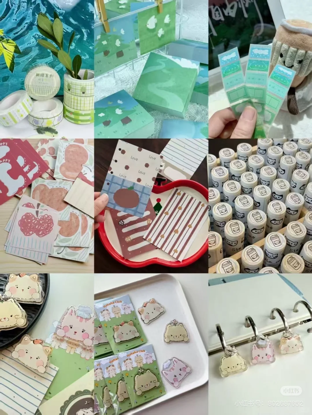 花漾集 摘一朵娇艳的花给你