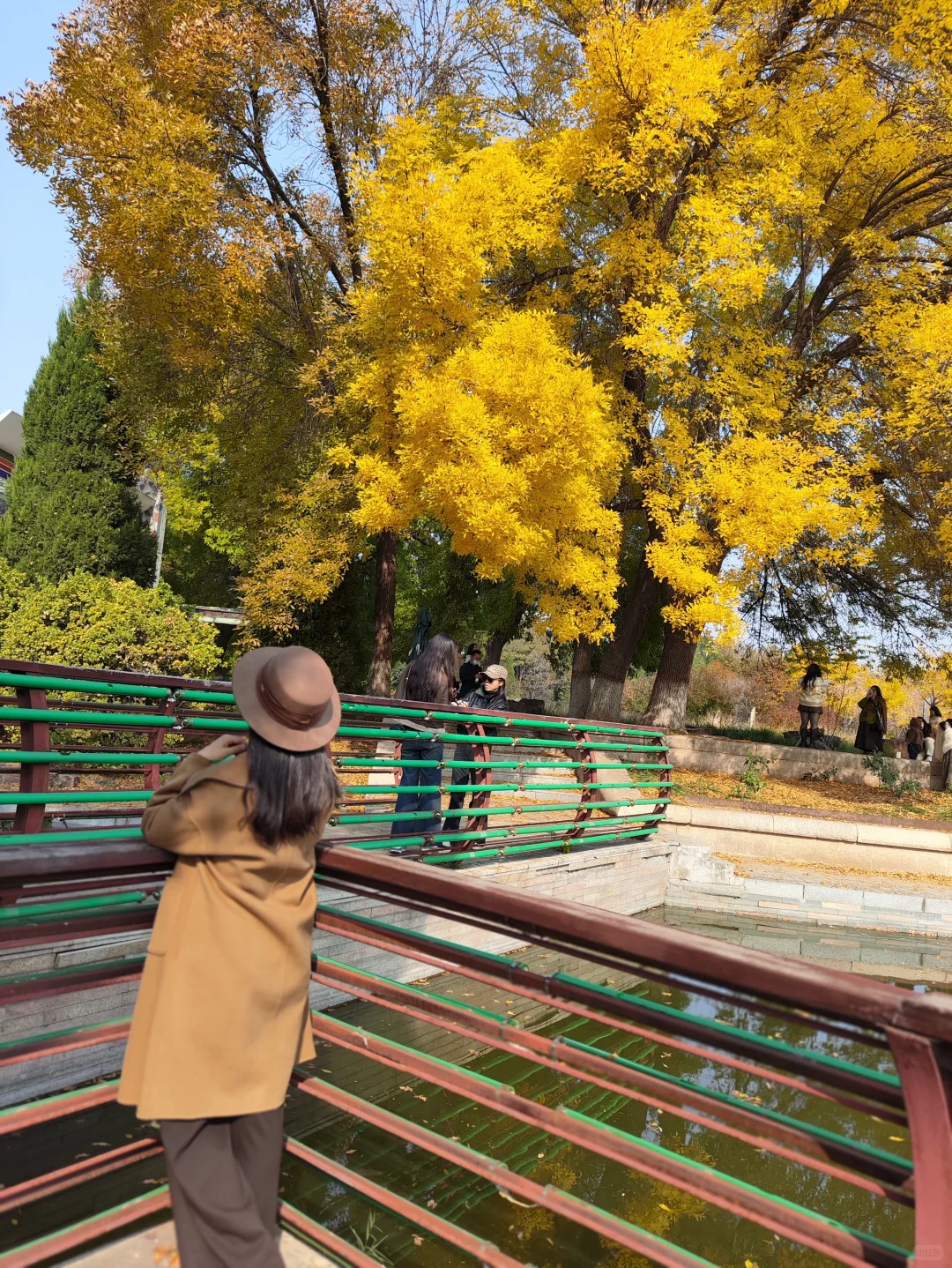 这里的深秋,很美