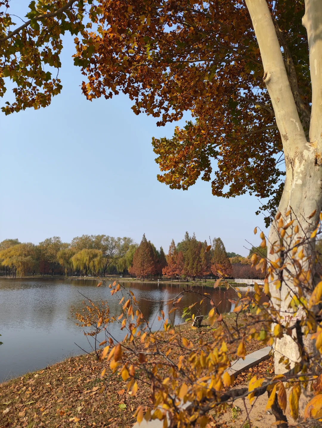 这里的深秋,很美