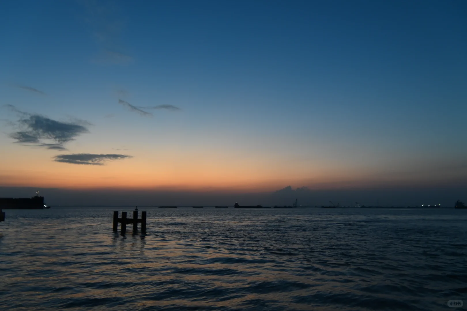 看见一只小蜜蜂，拍了拍花