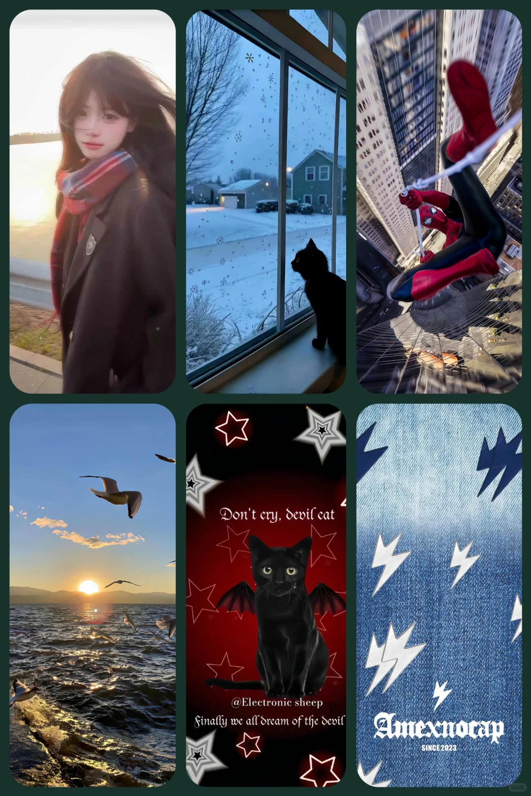 小眾个性手机壁纸推荐