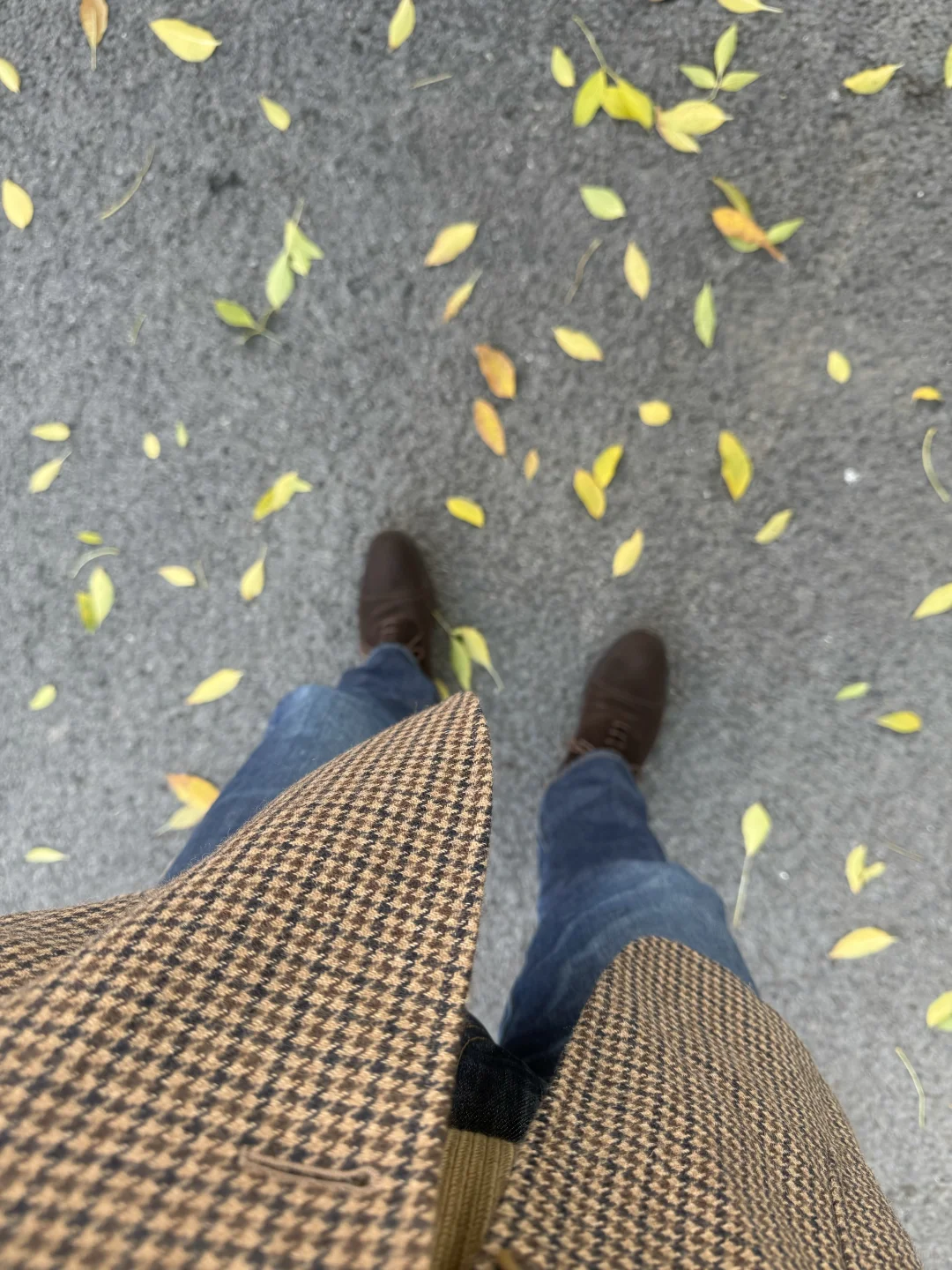 把糖炒栗子穿身上