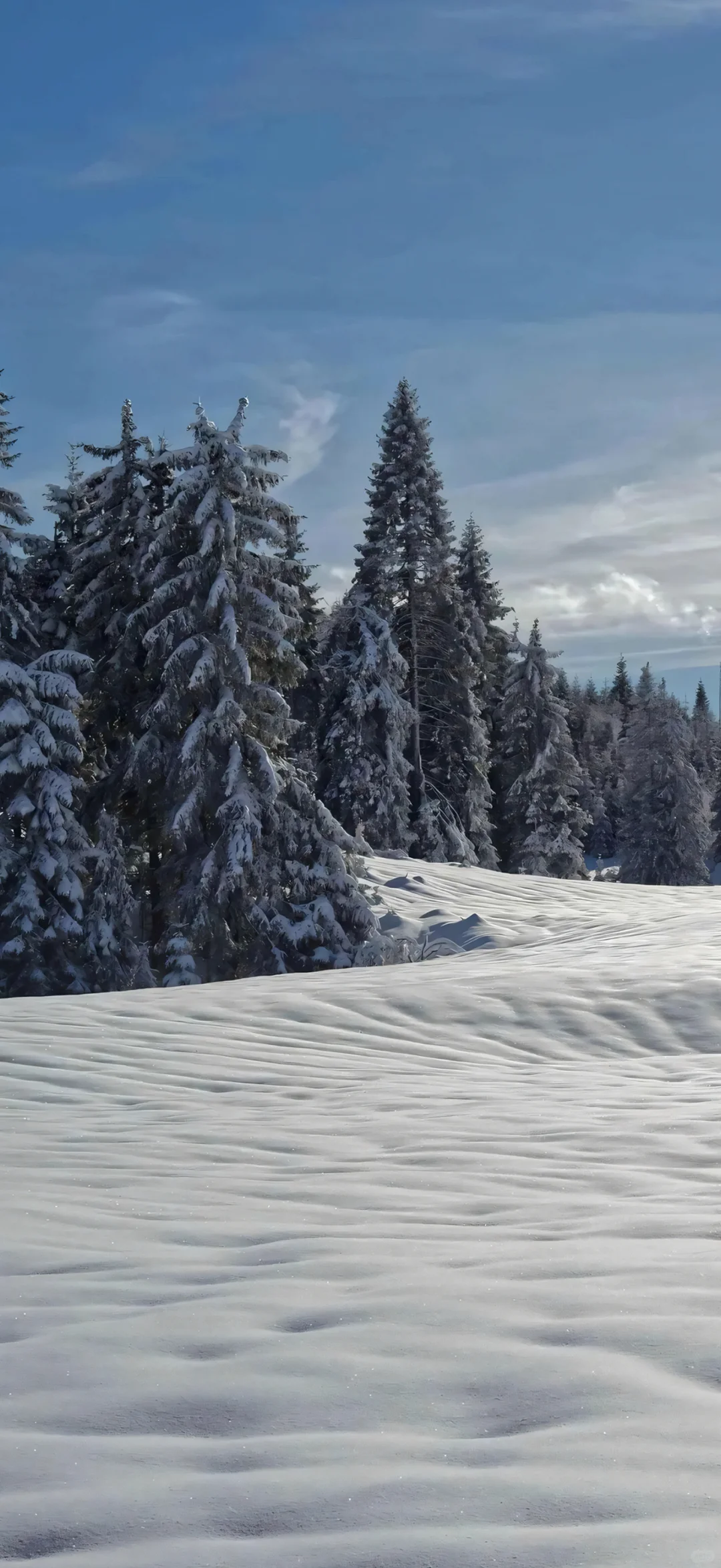 壁纸｜ins高清氛围壁纸🍋