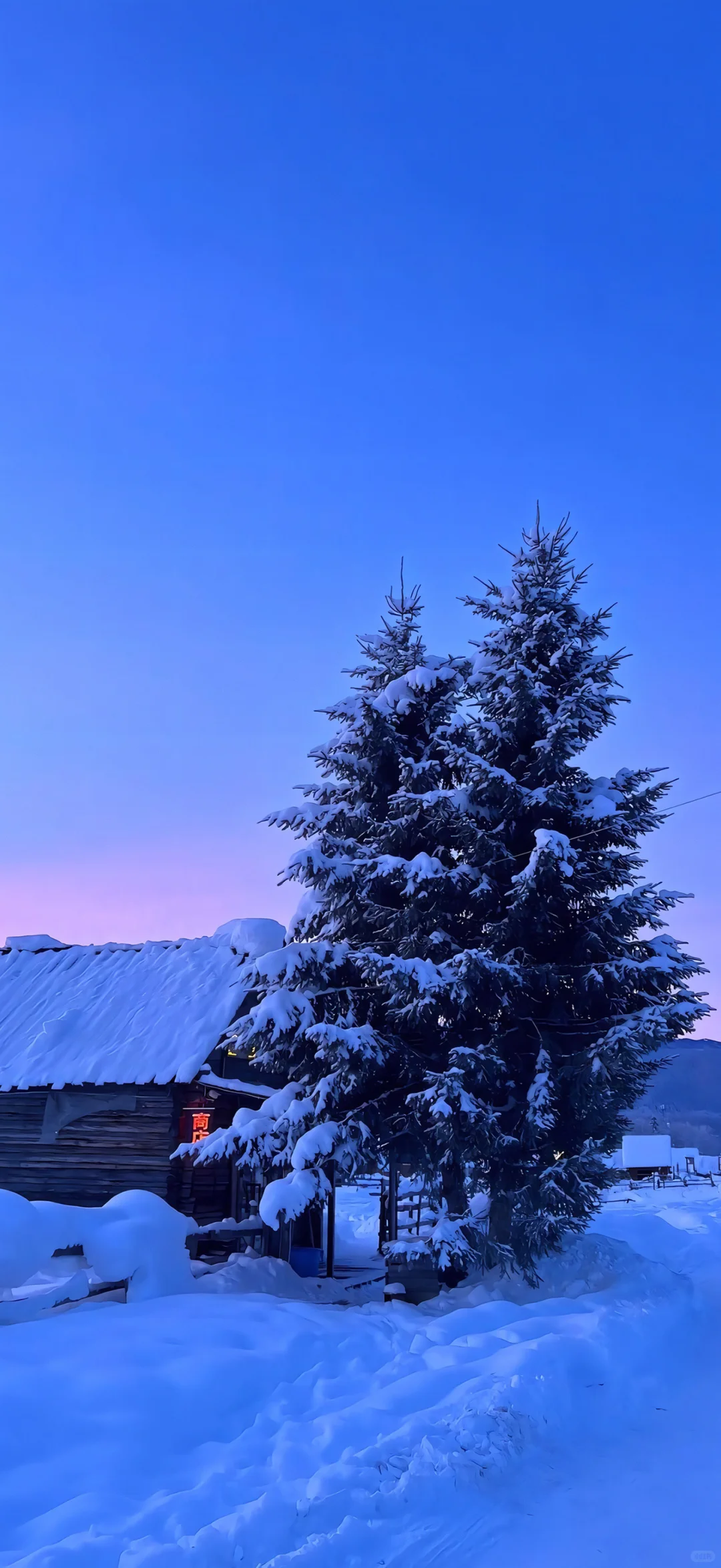 壁纸｜ins高清氛围壁纸🍋