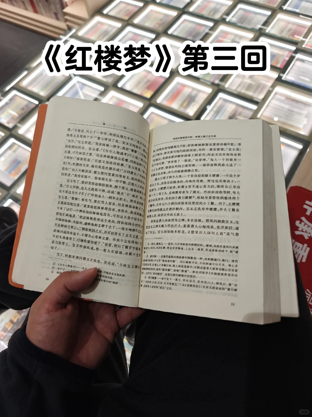 精读｜《红楼梦》第三回