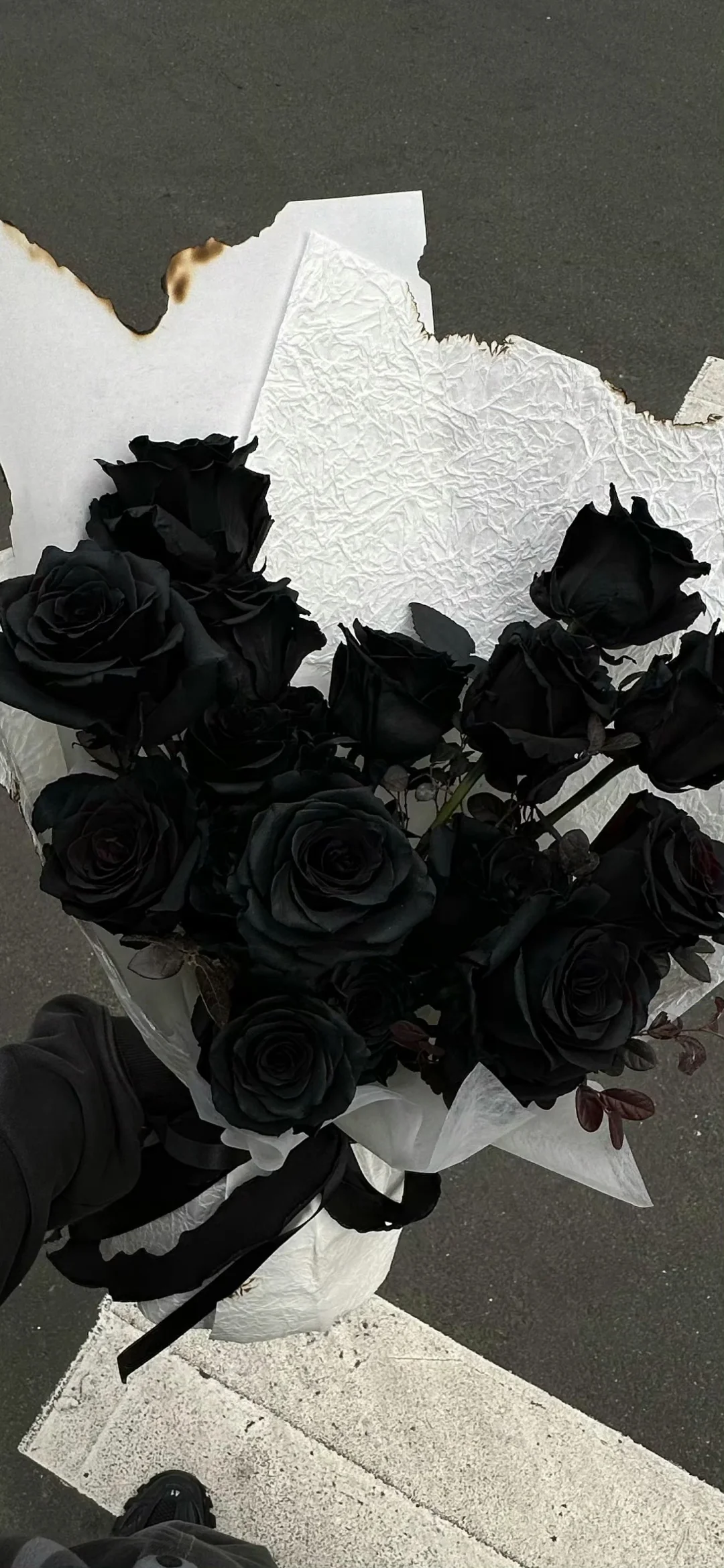 𝙒𝙚𝘾𝙝𝙖𝙩壁纸｜小众