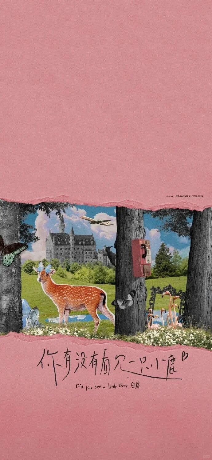 会有你喜欢的壁纸