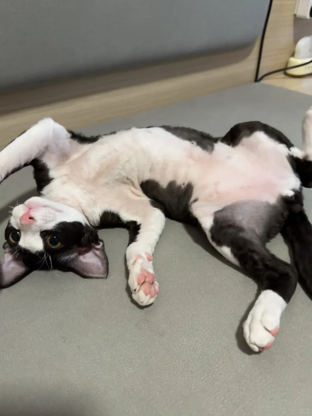 麻烦帮我看看算不算（左滑有图片