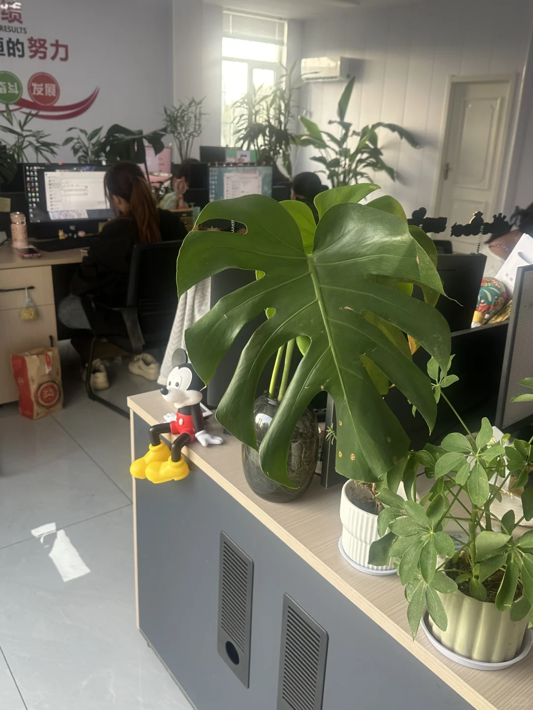 招聘一名早9晚6前台小姐姐