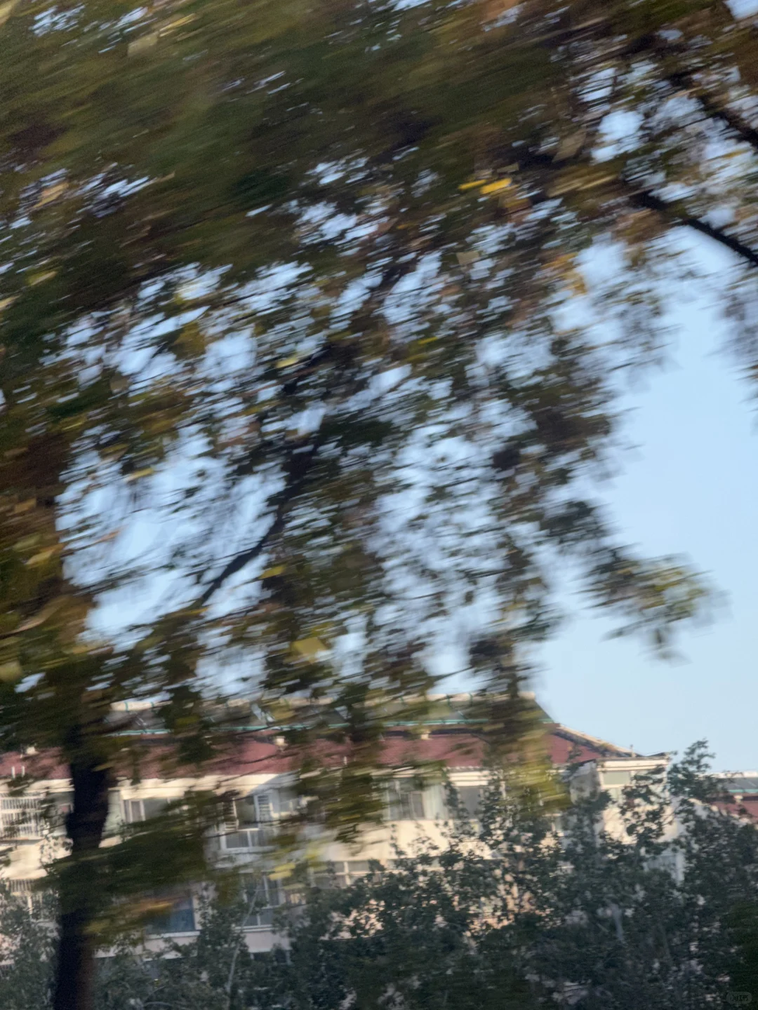 把糖炒栗子穿身上