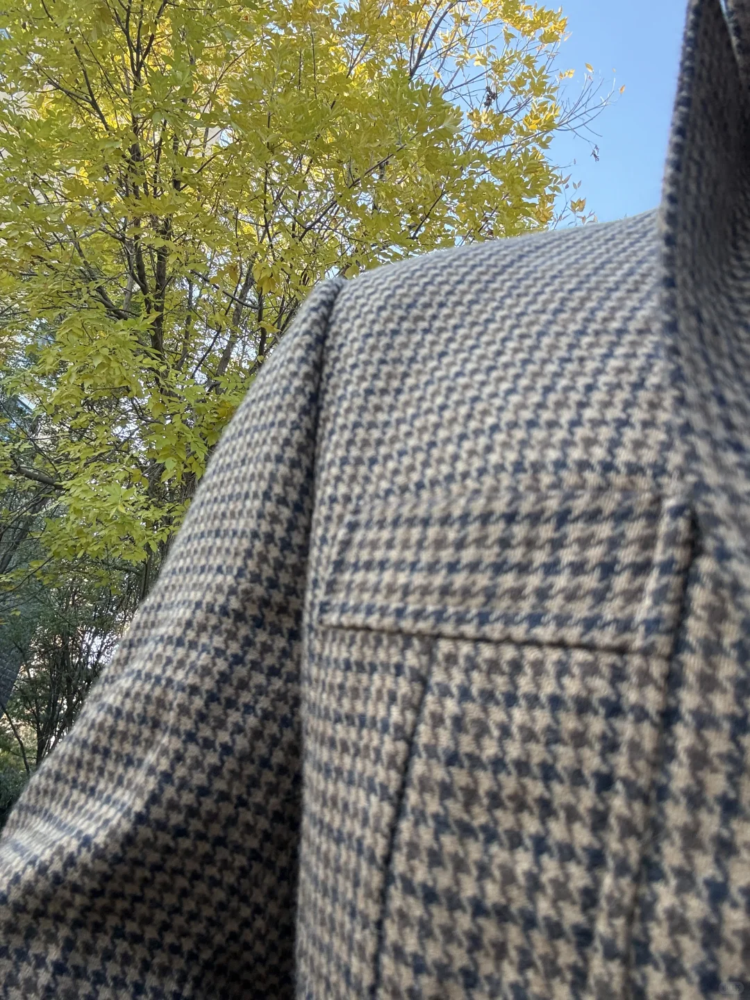 把糖炒栗子穿身上