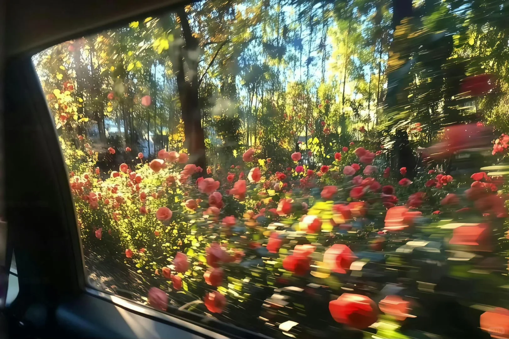 𝙬𝙖𝙡𝙡𝙥𝙖𝙥𝙚𝙧 ｜超清ipad电脑壁纸