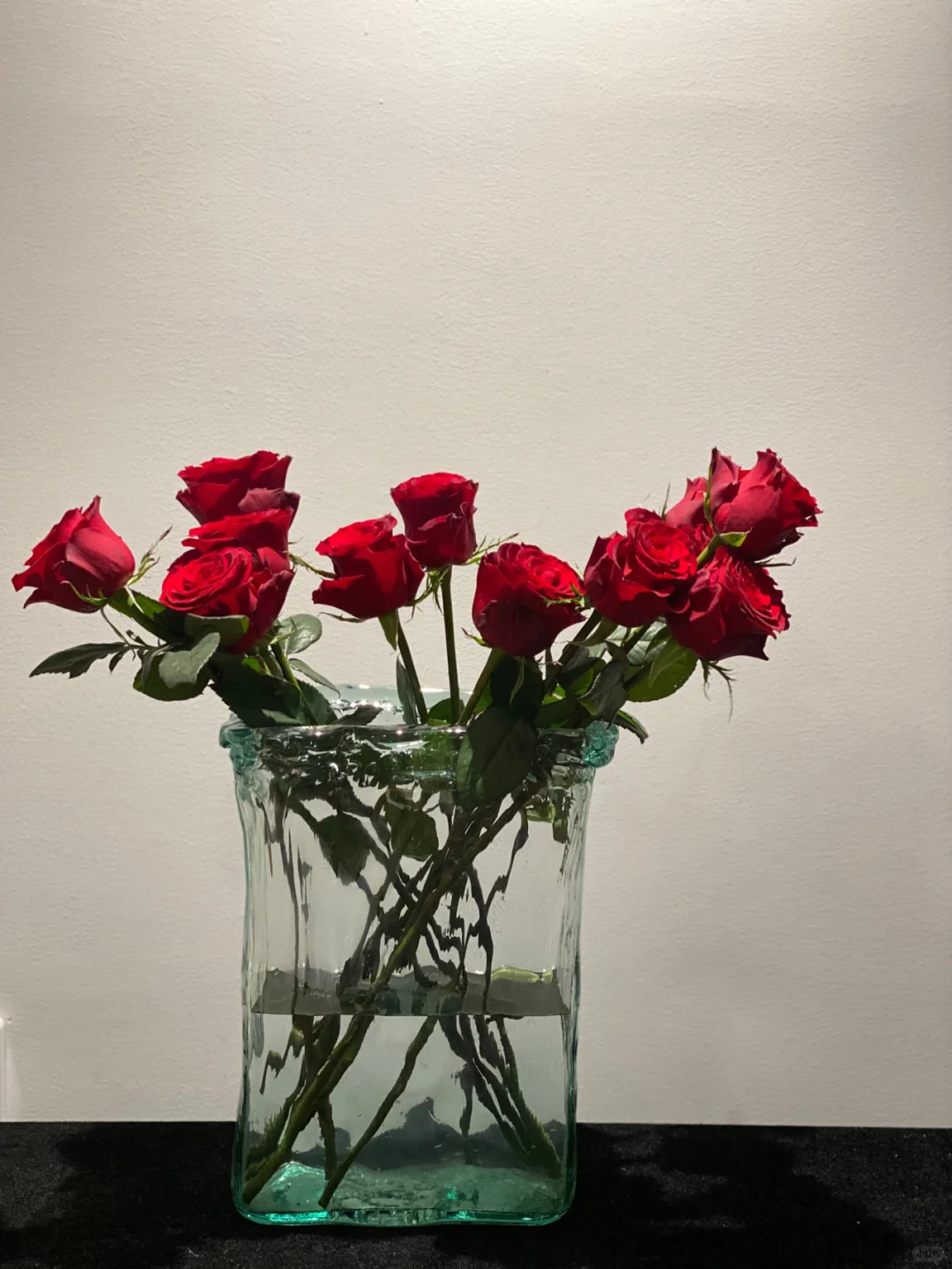 开始感受红玫瑰的美