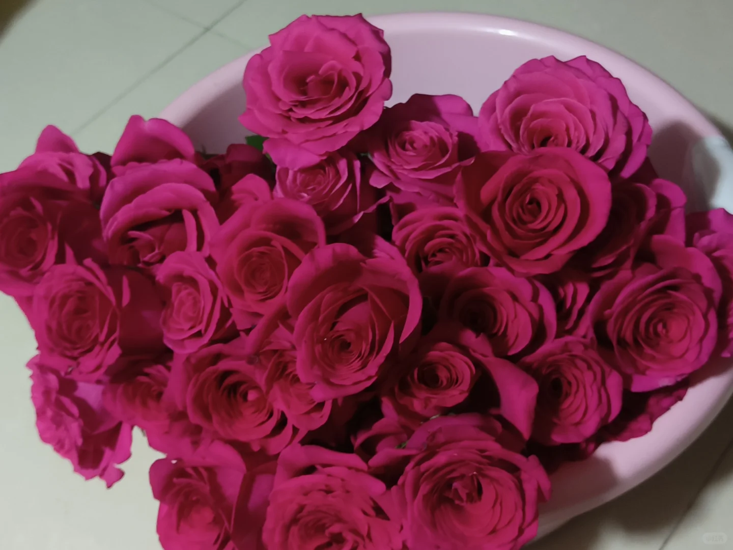 会受伤但难抵娇艳欲滴