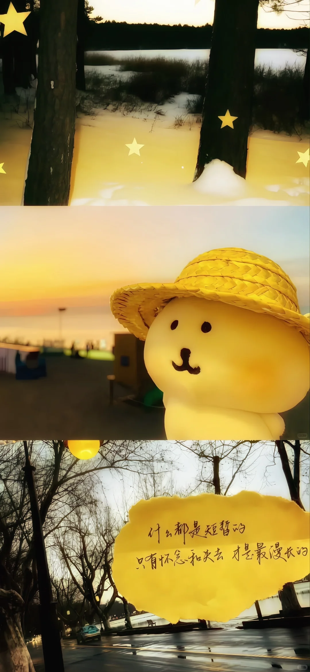 Share 氛围感壁纸