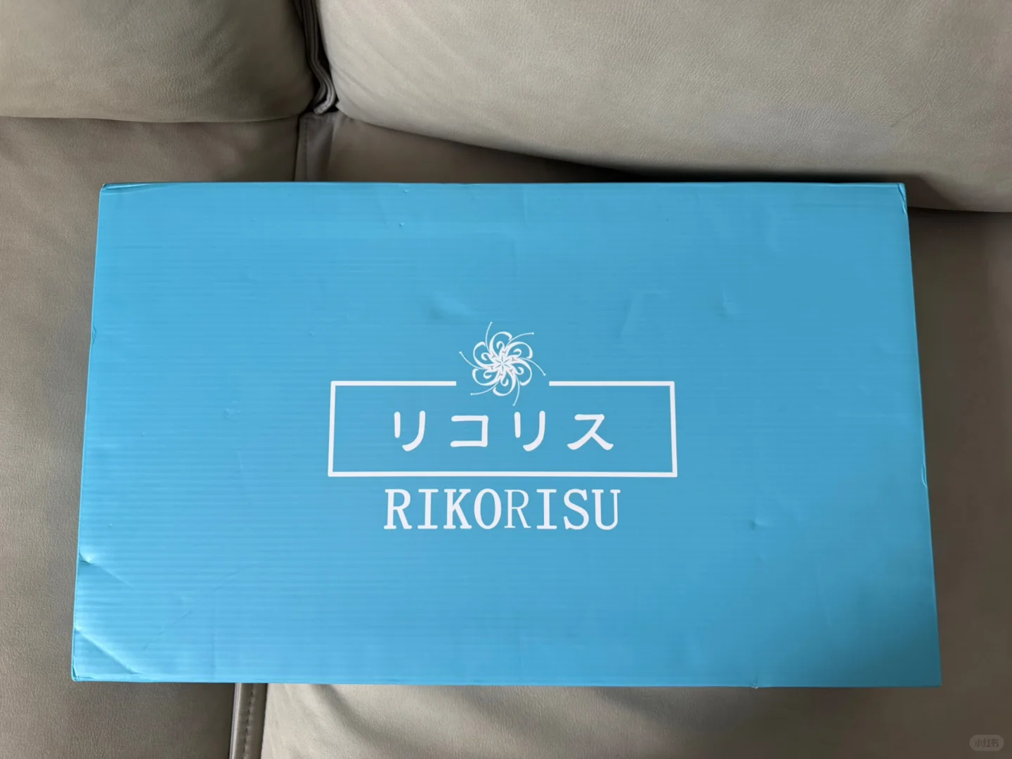 Rikorisu 紫绀测评