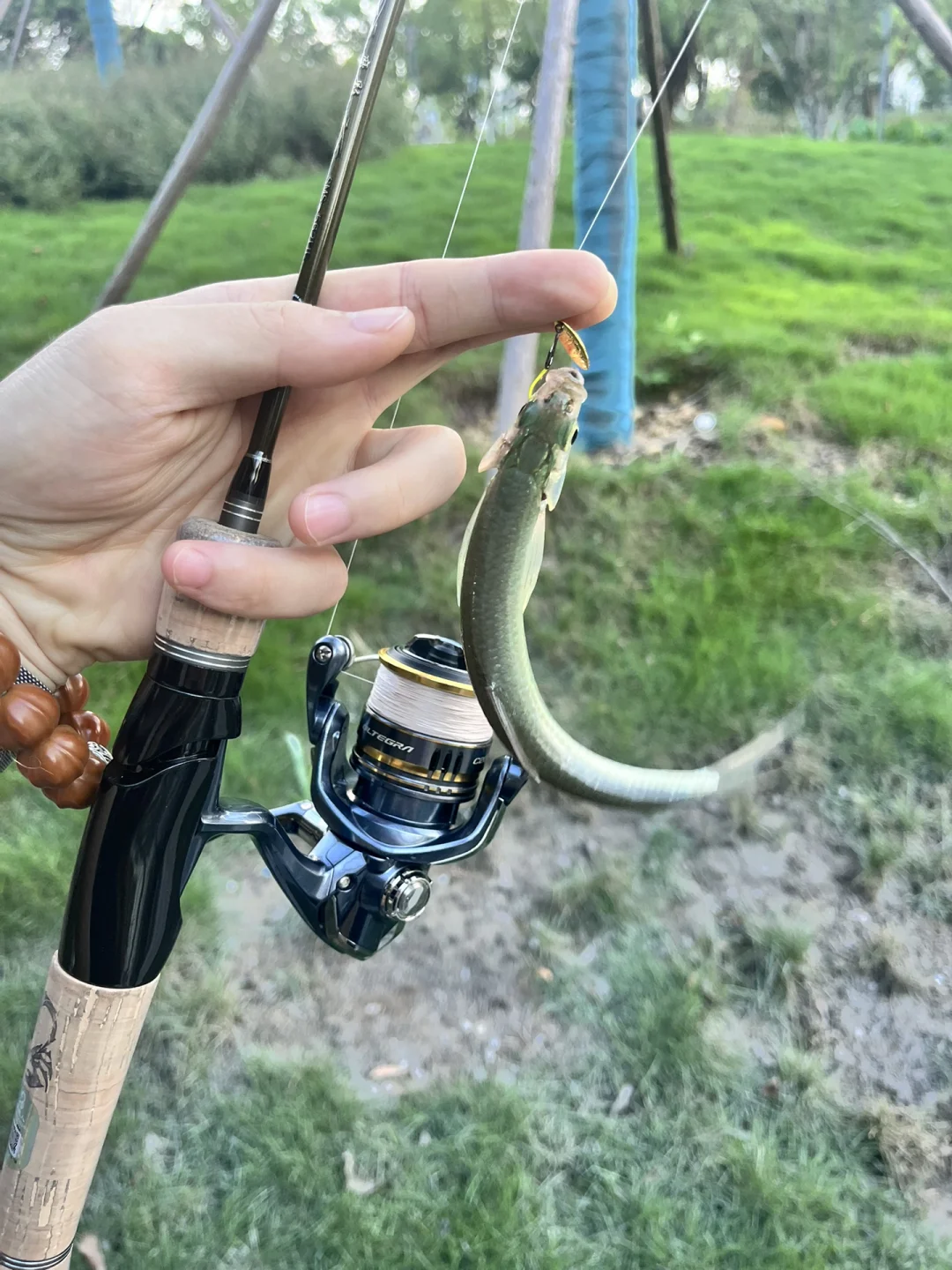 都说S型身材好看，我觉得C好看，不信你看