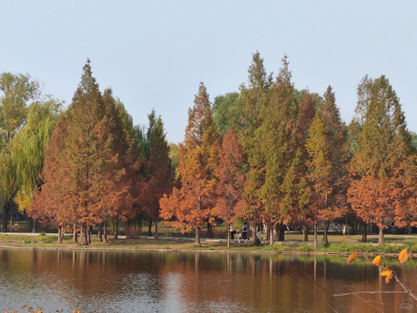 这里的深秋,很美